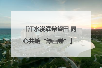 汗水浇灌希望田 同心共绘“绿画卷”