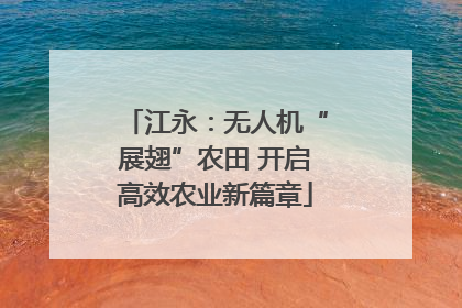 江永：无人机“展翅”农田 开启高效农业新篇章