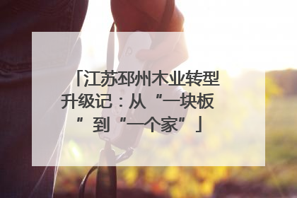 江苏邳州木业转型升级记：从“一块板”到“一个家”
