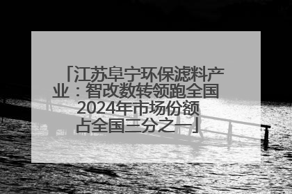 江苏阜宁环保滤料产业：智改数转领跑全国 2024年市场份额占全国三分之一
