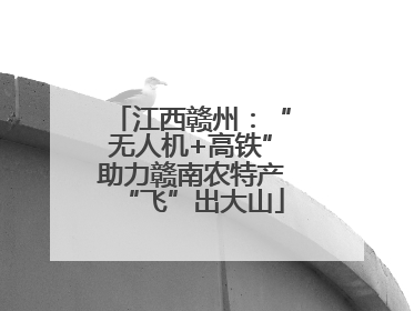 江西赣州：“无人机+高铁”助力赣南农特产“飞”出大山