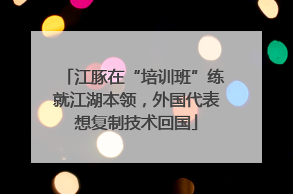 江豚在“培训班”练就江湖本领，外国代表想复制技术回国