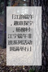 江韵端午，趣意探宁，杨柳村·江宁端午非遗系列活动圆满举行