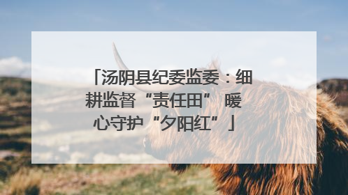 汤阴县纪委监委：细耕监督“责任田” 暖心守护“夕阳红”