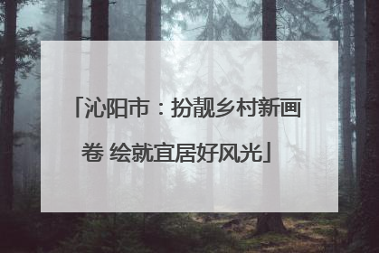 沁阳市：扮靓乡村新画卷 绘就宜居好风光