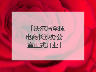 沃尔玛全球电商长沙办公室正式开业