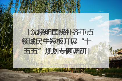 沈晓明围绕补齐重点领域民生短板开展“十五五”规划专题调研