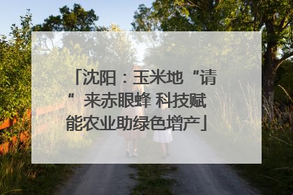 沈阳：玉米地“请”来赤眼蜂 科技赋能农业助绿色增产