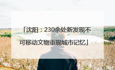 沈阳：230余处新发现不可移动文物重现城市记忆