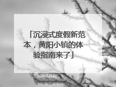 沉浸式度假新范本，黄阳小镇的体验指南来了