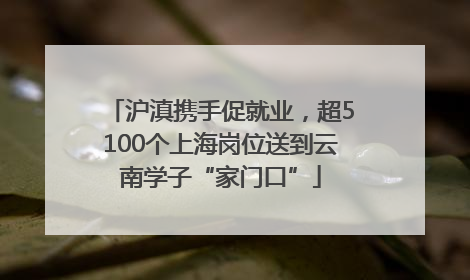 沪滇携手促就业，超5100个上海岗位送到云南学子“家门口”