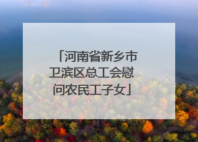 河南省新乡市卫滨区总工会慰问农民工子女