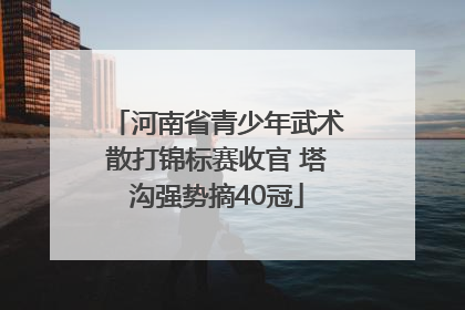 河南省青少年武术散打锦标赛收官 塔沟强势摘40冠