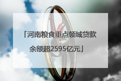 河南粮食重点领域贷款余额超2595亿元