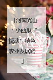 河南光山：小西瓜“撬动”特色农业发展路