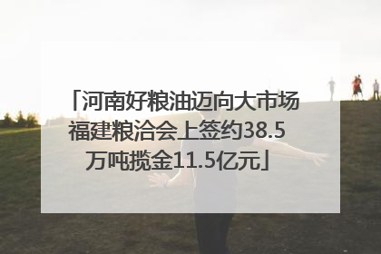 河南好粮油迈向大市场 福建粮洽会上签约38.5万吨揽金11.5亿元