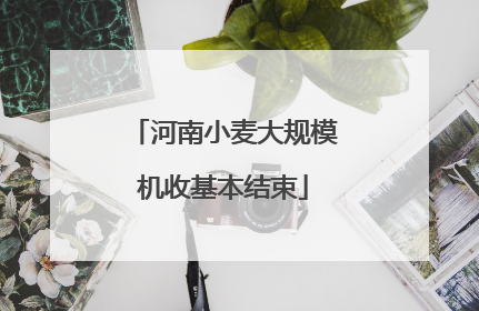河南小麦大规模机收基本结束