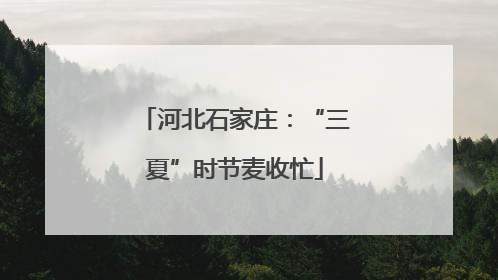 河北石家庄：“三夏”时节麦收忙