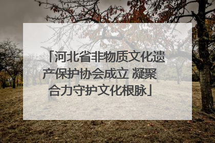 河北省非物质文化遗产保护协会成立 凝聚合力守护文化根脉