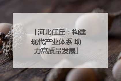 河北任丘：构建现代产业体系 助力高质量发展