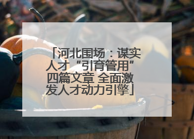 河北围场：谋实人才“引育管用”四篇文章 全面激发人才动力引擎