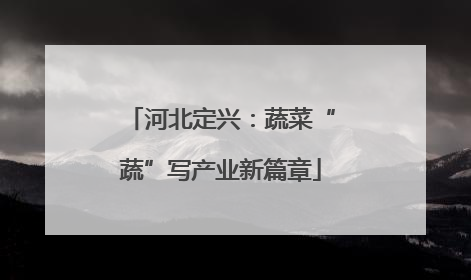 河北定兴：蔬菜“蔬”写产业新篇章