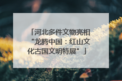 河北多件文物亮相“龙腾中国：红山文化古国文明特展”