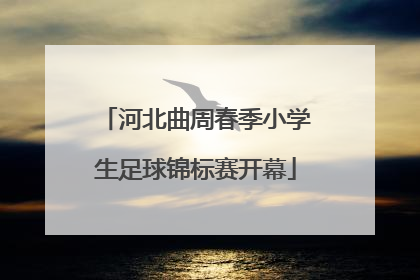 河北曲周春季小学生足球锦标赛开幕