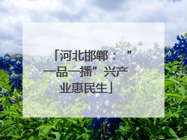 河北邯郸：“一品一播”兴产业惠民生