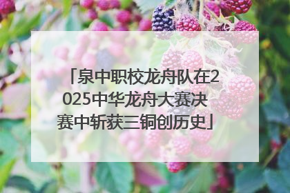 泉中职校龙舟队在2025中华龙舟大赛决赛中斩获三铜创历史