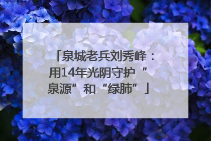 泉城老兵刘秀峰：用14年光阴守护“泉源”和“绿肺”