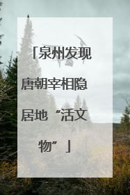 泉州发现唐朝宰相隐居地“活文物”