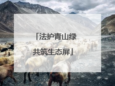 法护青山绿 共筑生态屏