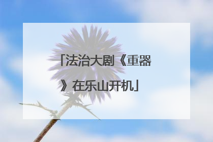 法治大剧《重器》在乐山开机