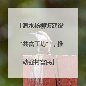 泗水杨柳镇建设“共富工坊”，推动强村富民
