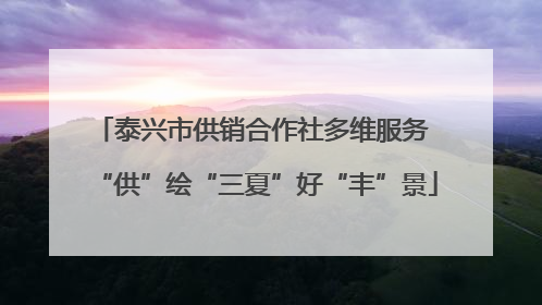 泰兴市供销合作社多维服务 “供”绘“三夏”好“丰”景