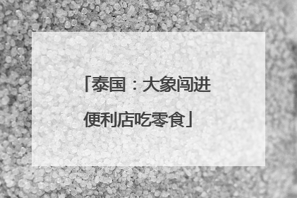 泰国：大象闯进便利店吃零食