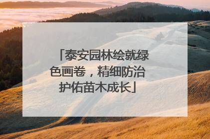 泰安园林绘就绿色画卷，精细防治护佑苗木成长