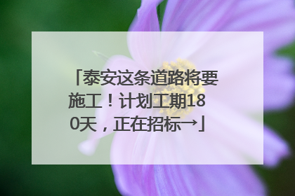 泰安这条道路将要施工！计划工期180天，正在招标→