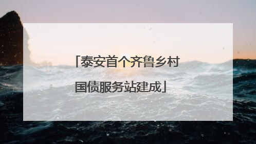 泰安首个齐鲁乡村国债服务站建成