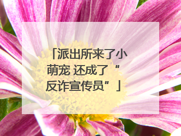 派出所来了小萌宠 还成了“反诈宣传员”