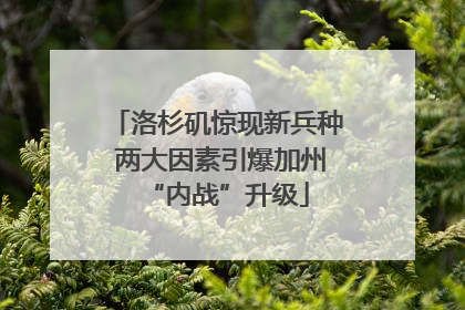 洛杉矶惊现新兵种 两大因素引爆加州“内战”升级