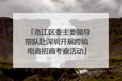 洛江区委主要领导带队赴深圳开展跨境电商招商考察活动