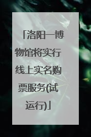 洛阳一博物馆将实行线上实名购票服务(试运行)