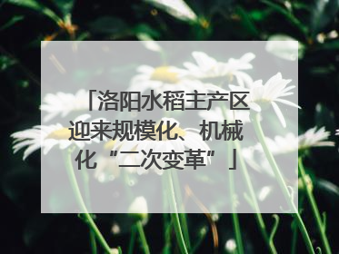 洛阳水稻主产区迎来规模化、机械化“二次变革”