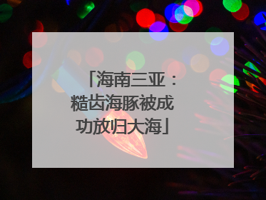 海南三亚：糙齿海豚被成功放归大海