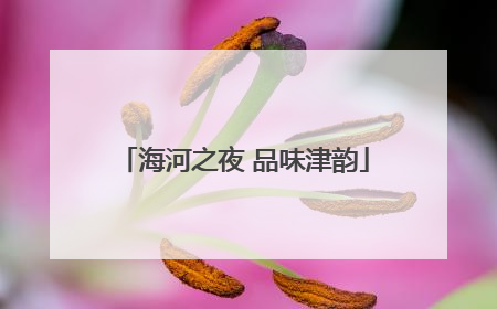 海河之夜 品味津韵
