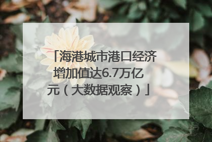 海港城市港口经济增加值达6.7万亿元（大数据观察）