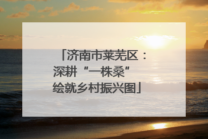 济南市莱芜区：深耕“一株桑” 绘就乡村振兴图