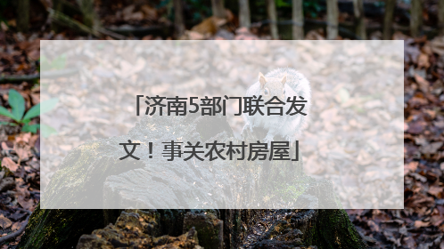 济南5部门联合发文！事关农村房屋